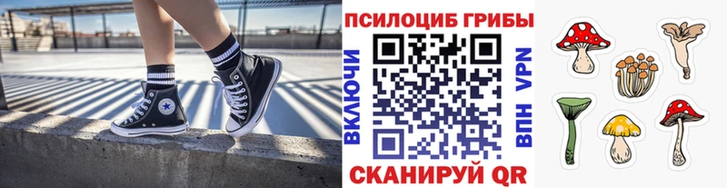 Псилоцибиновые грибы мухоморы  Ковылкино 