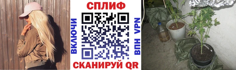 дарк нет наркотические препараты  Ковылкино  Каннабис Amnesia  закладки 